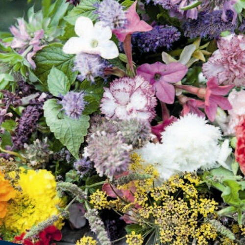 Scented Flower Mixture.
