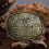 Vintage Pattern Western Cowboy Belt Buckle 9