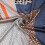 1pc Mens Leopard Spotted Square Scarf 7