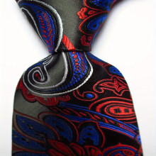 1pc Mens Necktie Classic Printed Paisley Tie Business Party Tie