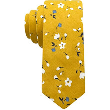 Mens Floral Tie Groom Wedding Accessories Festivals Birthday Holiday Ties