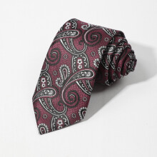 Mens Tie Necktie Paisley Necktie Business Wedding Party Necktie Great Gift For Men