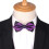 Bow Tie For Wedding Party 2