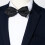 Bow Tie For Wedding Party 4