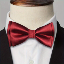 1pc Business Casual Tie For Themed Wedding Season Dress Up For Men