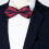 Bow Tie For Wedding Party 6