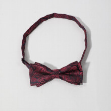1PC Mens Business Groom All match Paisley Double Layer Bow Tie