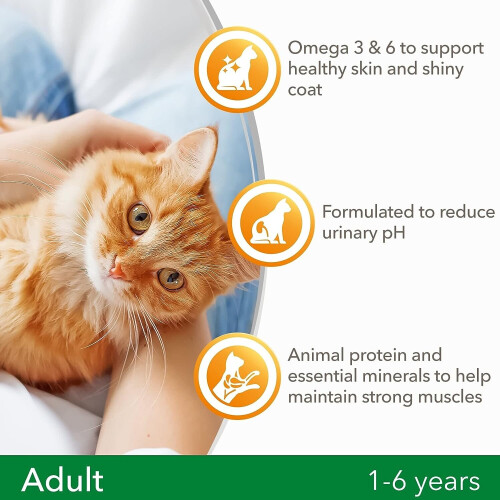 Iams IAMS Complete Dry Cat Food for Adult 1+ Cats with Ocean Fish 3 kg 2