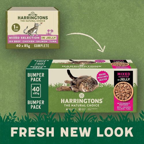 Harringtons Harringtons Mixed Selection in Jelly Wet Adult Cat Food Bumper Pack 40 x 85g 1