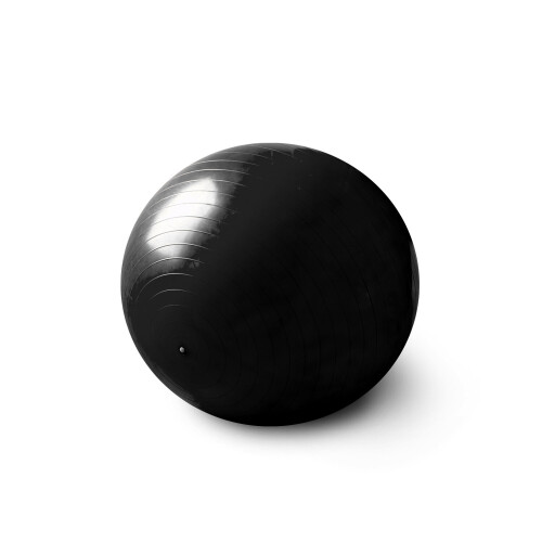 Pro 11 Wellbeing yoga ball 55cm