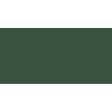 (Dark Green) Guard OC Shipping Container Skip Metal Paint Satin 5 Litres