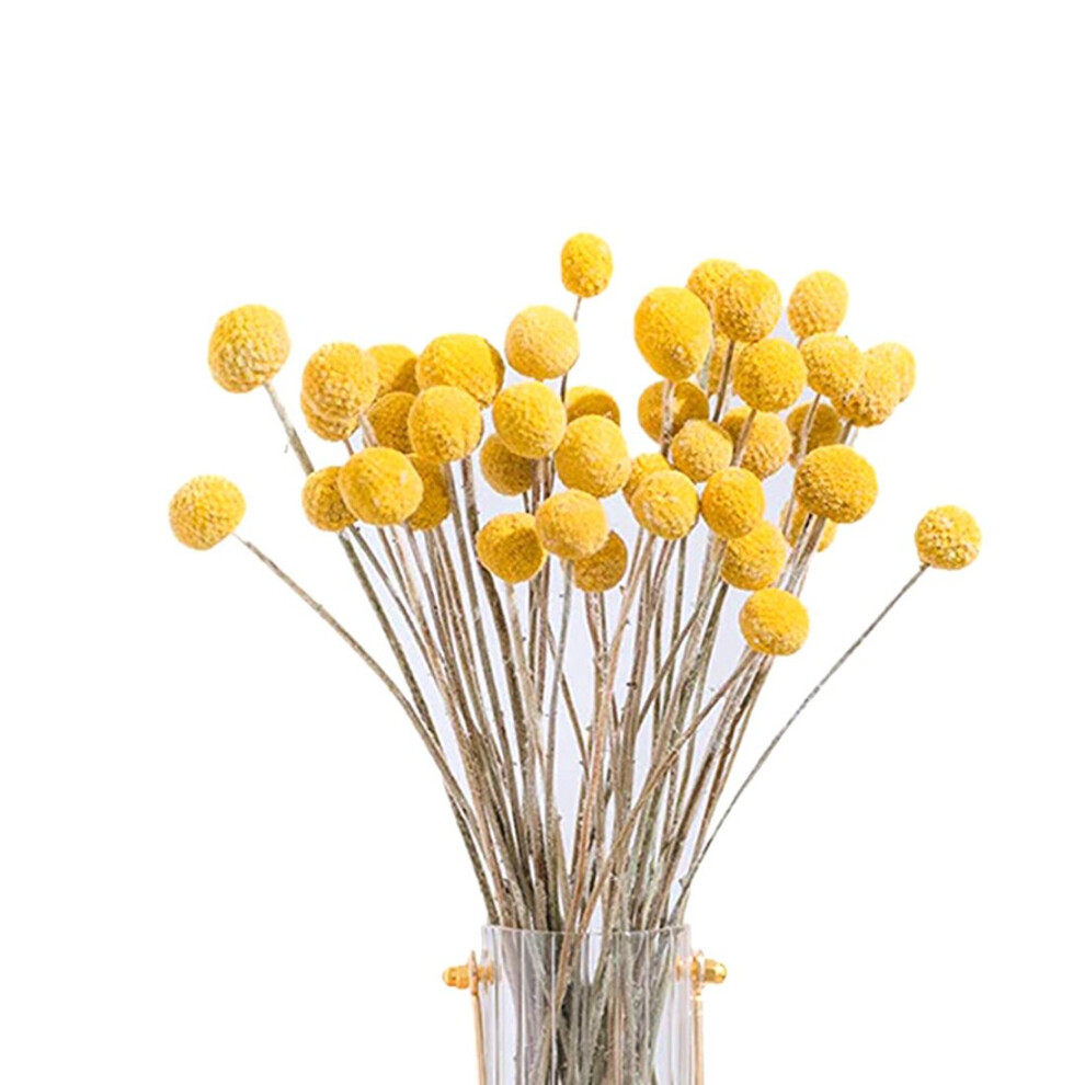 40Pcs Dried Craspedia Flowers Dried Button Balls Flowers,Dried Flower Bouquet for Arrangements Wedding Home Decor