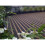 (Brown Decking Strips) Non Slip Decking Strips - 1000mm x 50mm 4