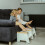 (White/Pine) Step Stool - The Original 5