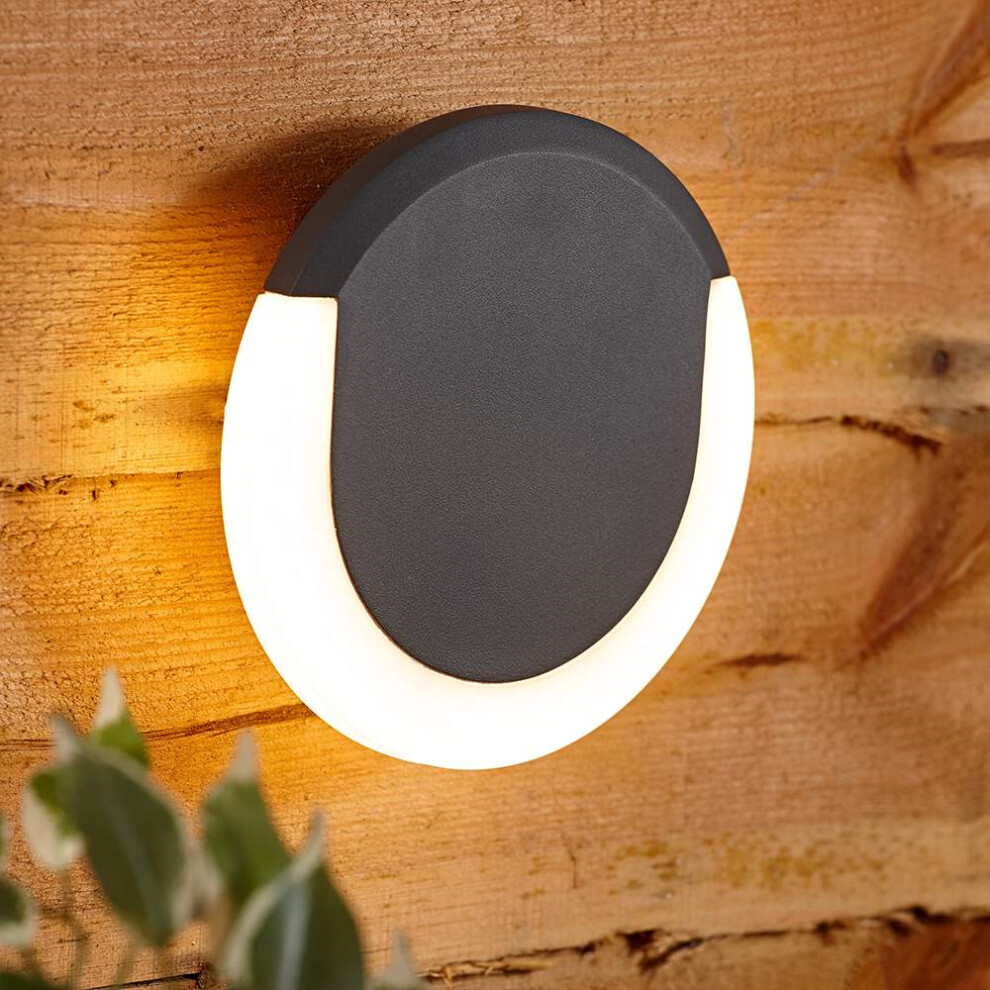 Biard Crescent Halo LED Large Circular Outdoor Wall Light