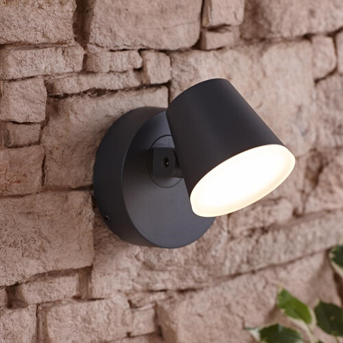 Trueshopping Biard Dalen LED Outdoor Swivel Wall Light