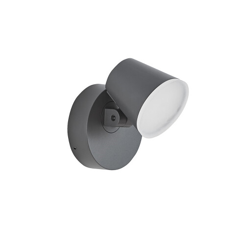 Trueshopping Biard Dalen LED Outdoor Swivel Wall Light 1