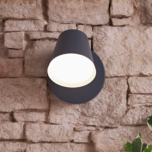 Trueshopping Biard Dalen LED Outdoor Swivel Wall Light 2