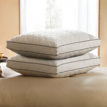 Sealy Side Sleeper Pillow - 2 Pack