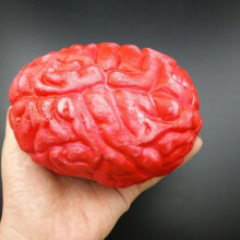 (  Brain) Gory Bloody Fake Brain Broken Limbs Horror Prank Halloween Prop Decoration Party