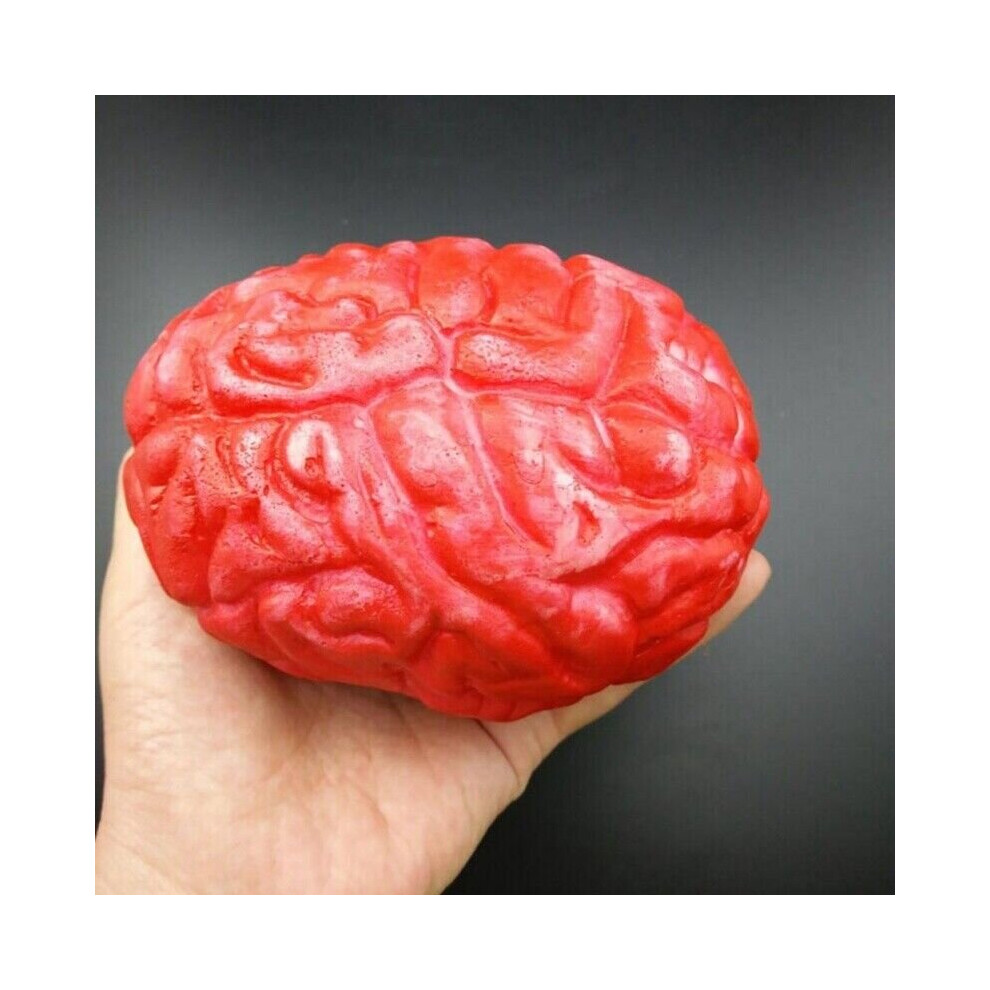 Xylfly ( Brain) Gory Bloody Fake Brain Broken Limbs Horror Prank Halloween Prop Decoration Party