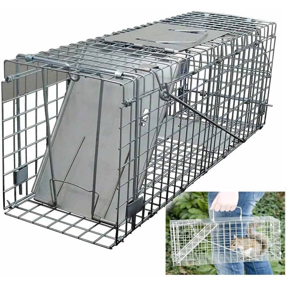 Live Animal Traps Cage for Rabbit, Squirrel, Possum, Skunk, Kitten Humane Rat Trap Catch and Release, Chipmunk Trap Mouse Catcher for Indoor Outdoor