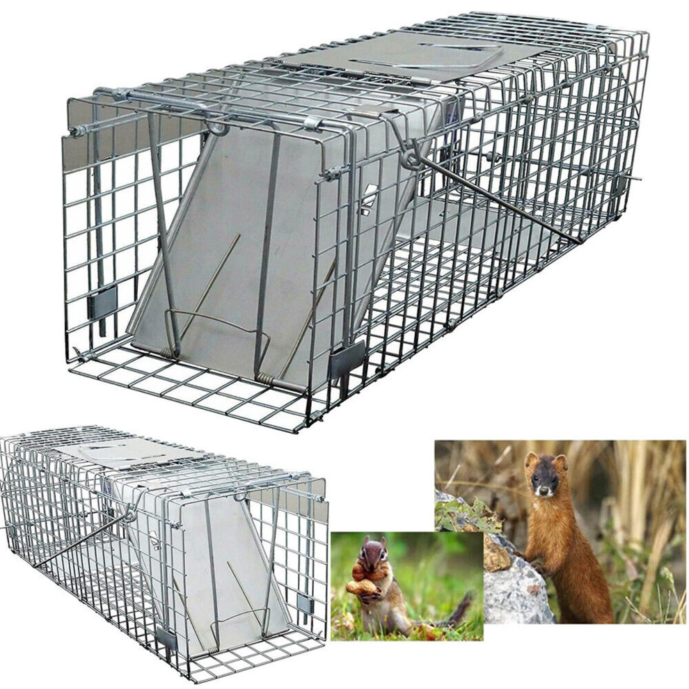 Youseahome Humane Live Animal Trap Catch And Release For Squirrels, Rabbits, Skunks, Cat, And Other Small Animals, Easy To Set Mouse Catcher