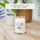 Yankee Candle Yankee - Kokosnuss Strand Große Kerze 6