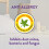 Slumberdown (Single) Slumberdown Anti Allergy Mattress Protector 2