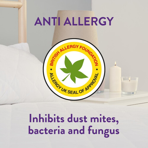 Slumberdown (Double) Slumberdown Anti Allergy Mattress Protector 1