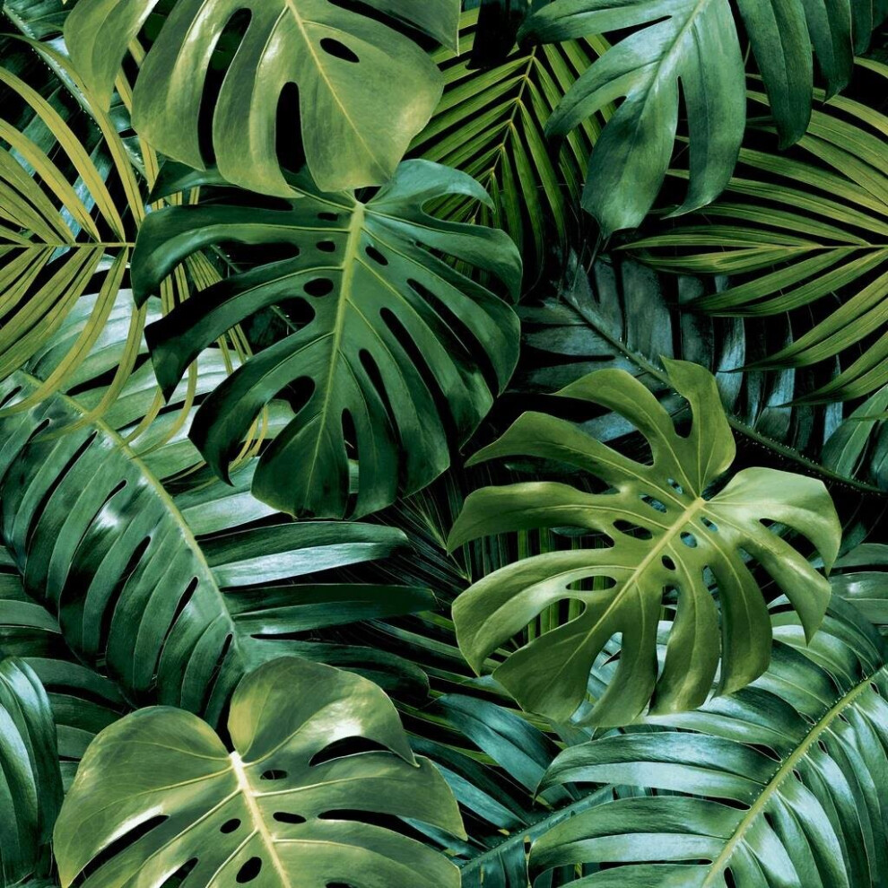 Arthouse Living Wall Wallpaper Tropical Jungle Leaves Modern Green