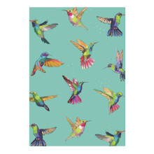 Embossed Hummingbirds Any Occasion Card Foiled Portobello Greeting Cards