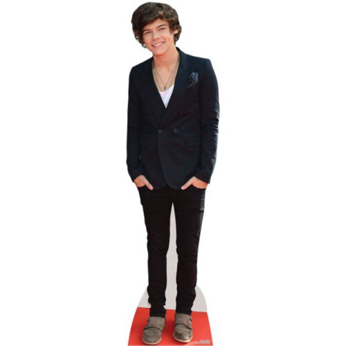 Styles, Harry Lifesize Cardboard Cutout / Standee