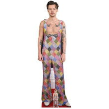 Styles, Harry Dungarees Lifesize Cardboard Cutout / Standee