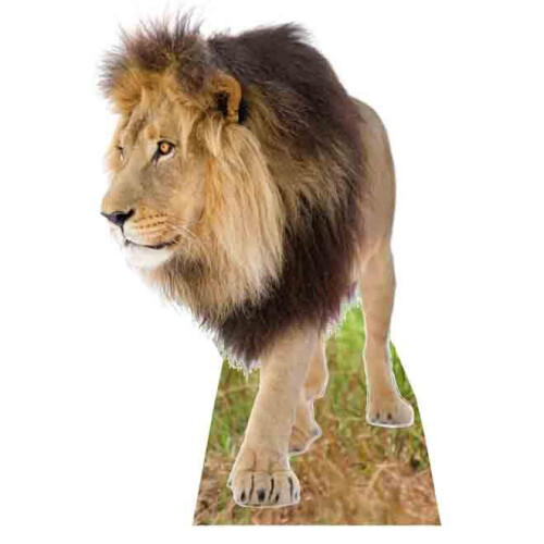 Lion - Lifesize Cardboard Cutout / Standee