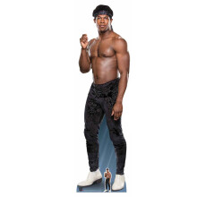 Velveteen Dream Official WWE Lifesize Cardboard Cutout / Standee / Standup