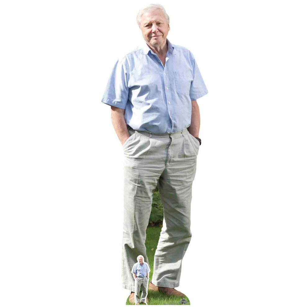 Sir David Attenborough Celebrity Cardboard Cutout / Standee / Standup / Standee