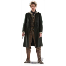 The 8th Doctor Lifesize Cardboard Cutout / Standee - Paul McGann Doctor Who 50th Anniversary Special