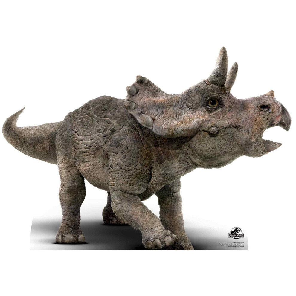 Triceratops Baby Official Jurassic World Cardboard Cutout / Standee