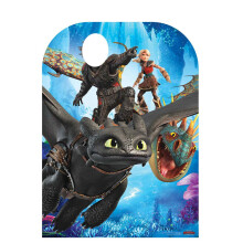 How to Train Your Dragon 3 Child Size Stand In Official Cardboard Cutout