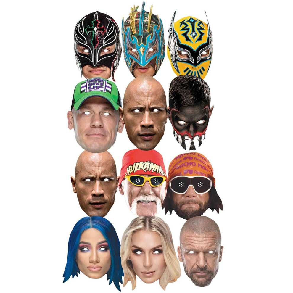 WWE Wrestlers Official 2D Card Face Masks Bumper Party Variety 12 Pack