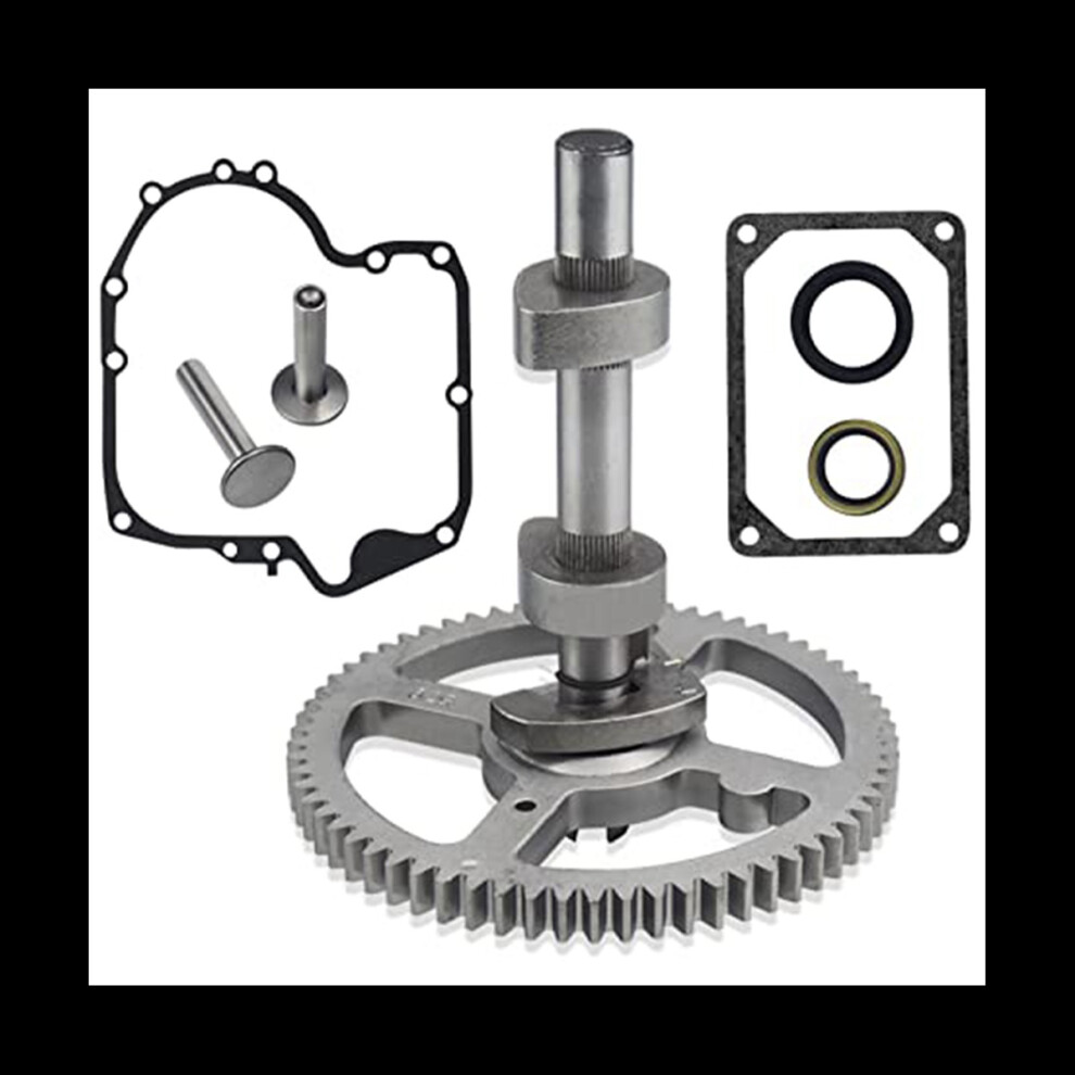 84005207 793880 Camshaft Replacement Kit - for Brigg & Stratton 793583 792681 791942 795102 Brigg