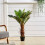 Living And Home 90CM Realistic Artificial Palm Tree with Pot 1