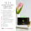 ALTA Aroma Diffuser, Humidifier and Night-light 10