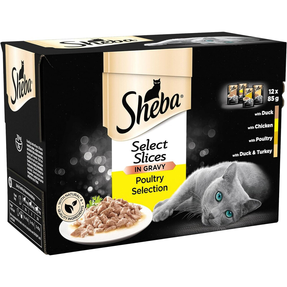 Sheba Select Slices in Gravy  Poultry Selection  Wet Cat Food Pouches for Adult Cats Pack of 4 4 x 12 Pouches x 85 g