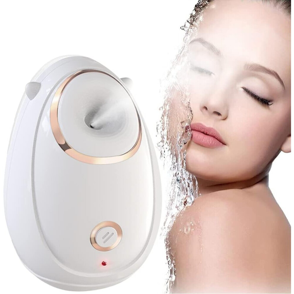 Rayches White Facial Steamer Nano Ionic Spray Face Steamer