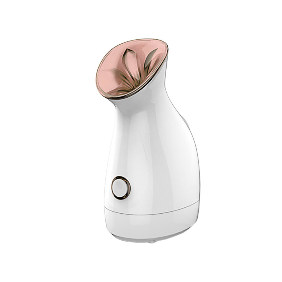Rayches Gold Facial Steamer Nano Ionic Face Steamer Facial Spray For Home Spa
