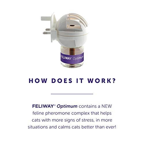 Feliway FELIWAY Optimum Diffuser & 30 Day Refill 48 ml (D92110B) - Calms Cat Anxiety, Stress & Conflicts 2