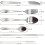 (24pc set) Cutlery Set Stainless Steel Hammered Handle Silver 4