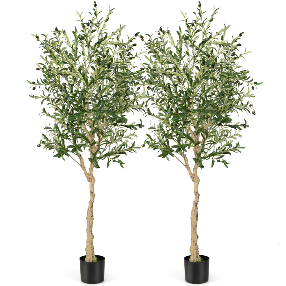 2-Pack Artificial Olive Trees 182cm Tall Faux Olive Plants Cement Pot